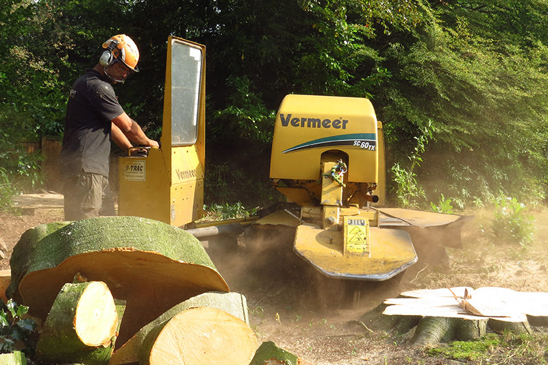 Wainwright Stump Removal | Professional Tree Stump Grinding and Removal Cheshire and the North West | machine