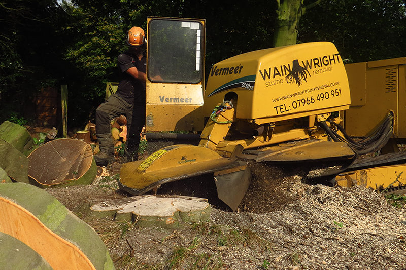 Wainwright Stump Removal | Professional Tree Stump Grinding and Removal Cheshire and the North West | Machine