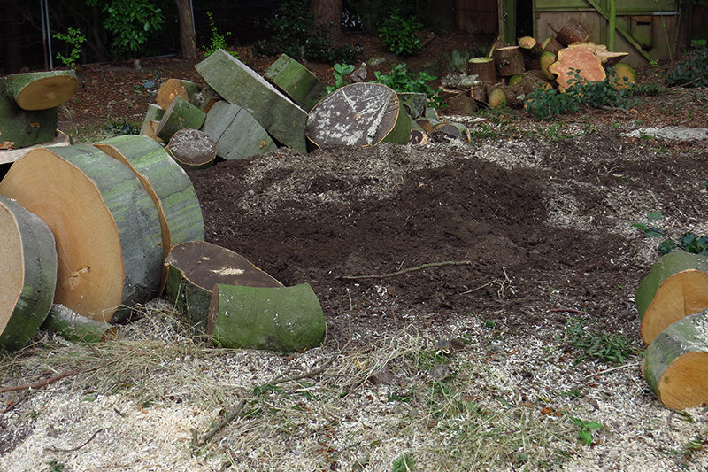 Wainwright Stump Removal | Professional Tree Stump Grinding and Removal Cheshire and the North West |