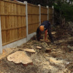 Stump Grinding in Chester