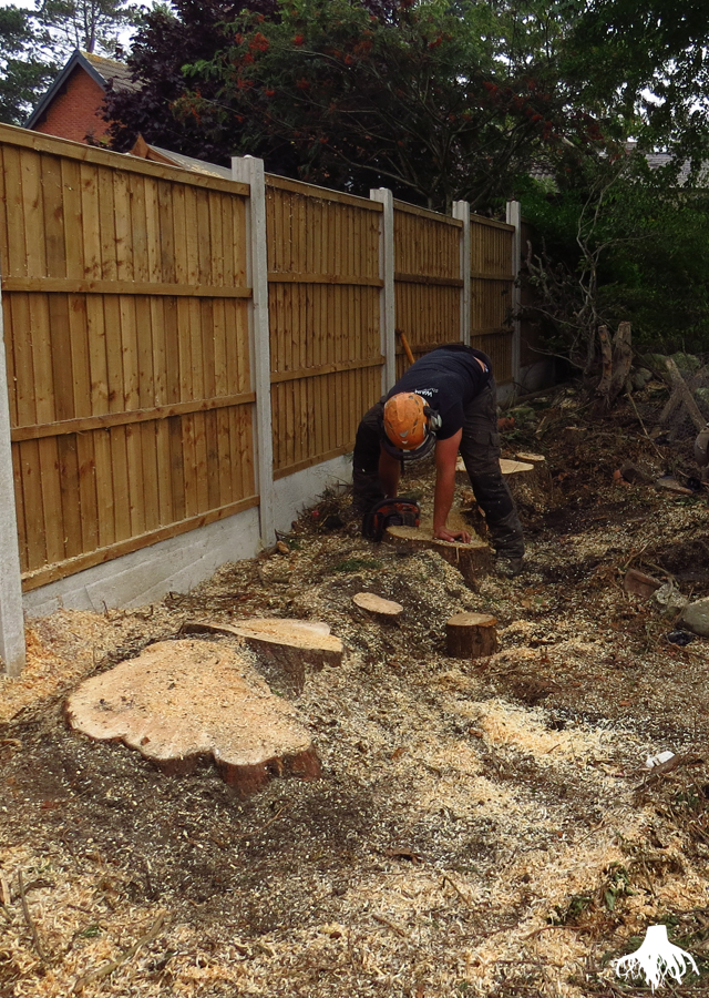 Stump Grinding in Chester