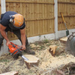 Tree Stump Removal in Bowdon