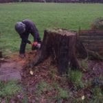 tree stump removal in Didsbury