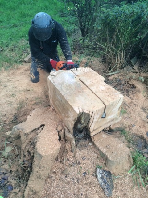 Stump Remover in Chorlton