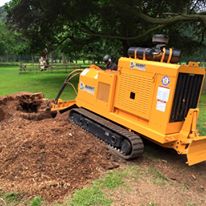 Wainwright Stump Removal | Professional Tree Stump Grinding and Removal Cheshire and the North West | grinder Bandit 2900