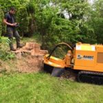 Tree stump removal in Bowdon