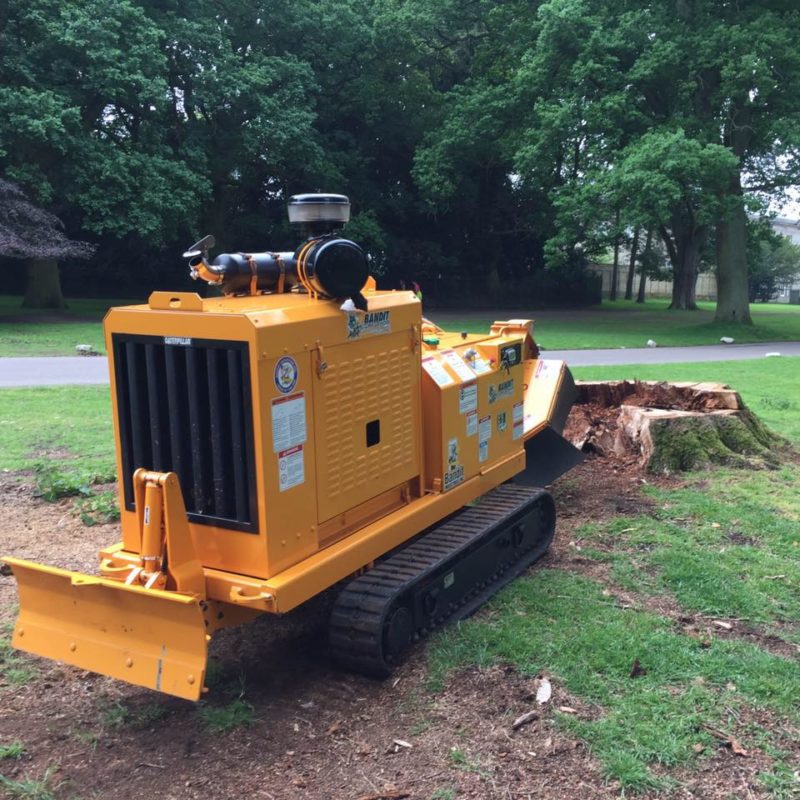 Wainwright Stump Removal | Professional Tree Stump Grinding and Removal Cheshire and the North West | Remover in Handforth