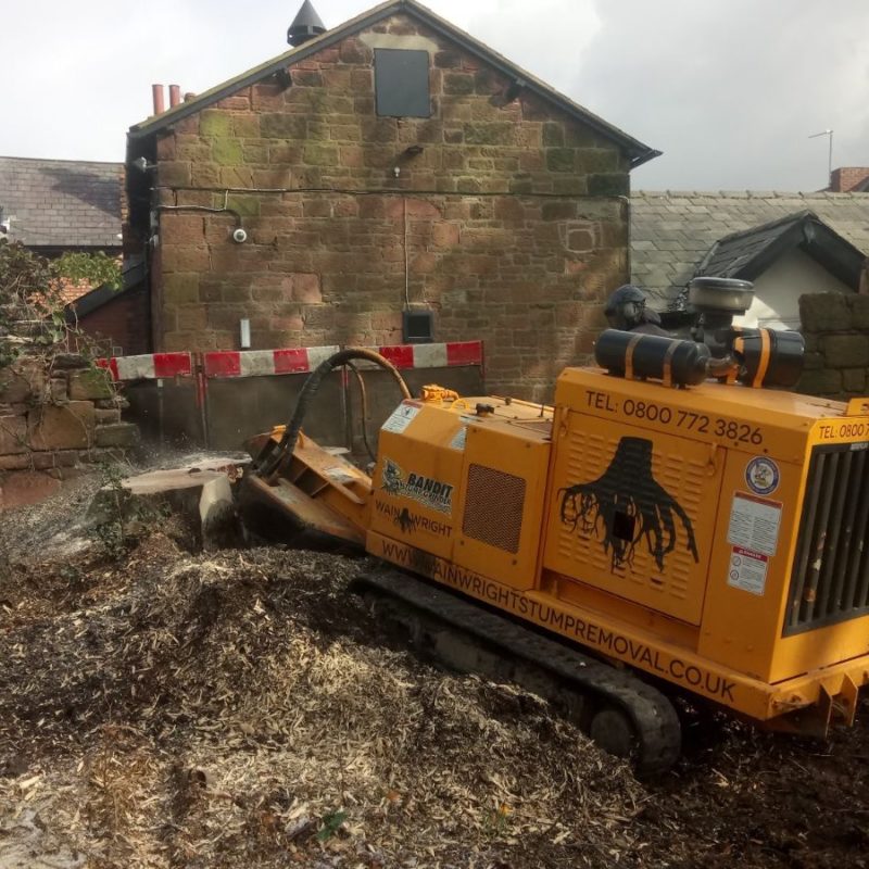 Wainwright Stump Removal | Professional Tree Stump Grinding and Removal Cheshire and the North West | removal Chester