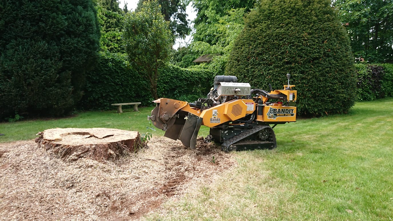Tree Stump Removal in Bowdon