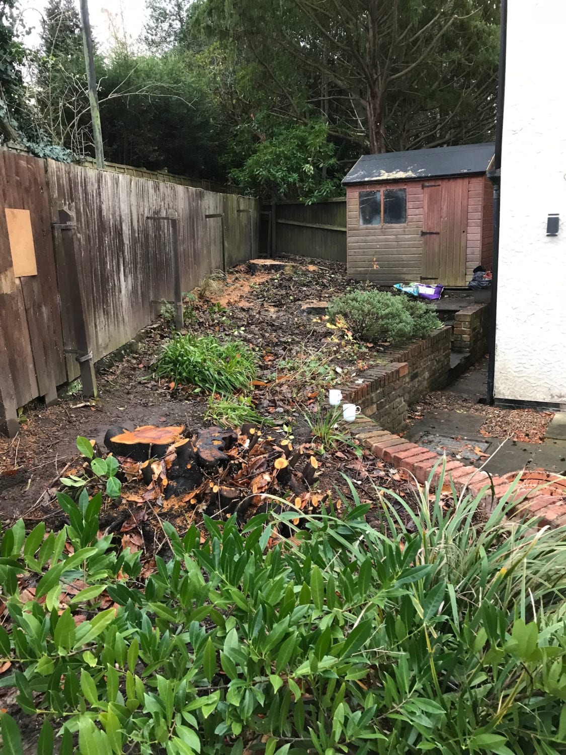 Tree Stump Removal in Hale, Cheshire