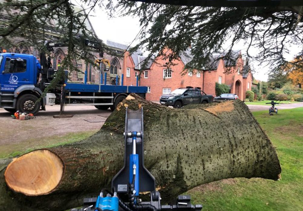 Machine Hire timber removal with Multione