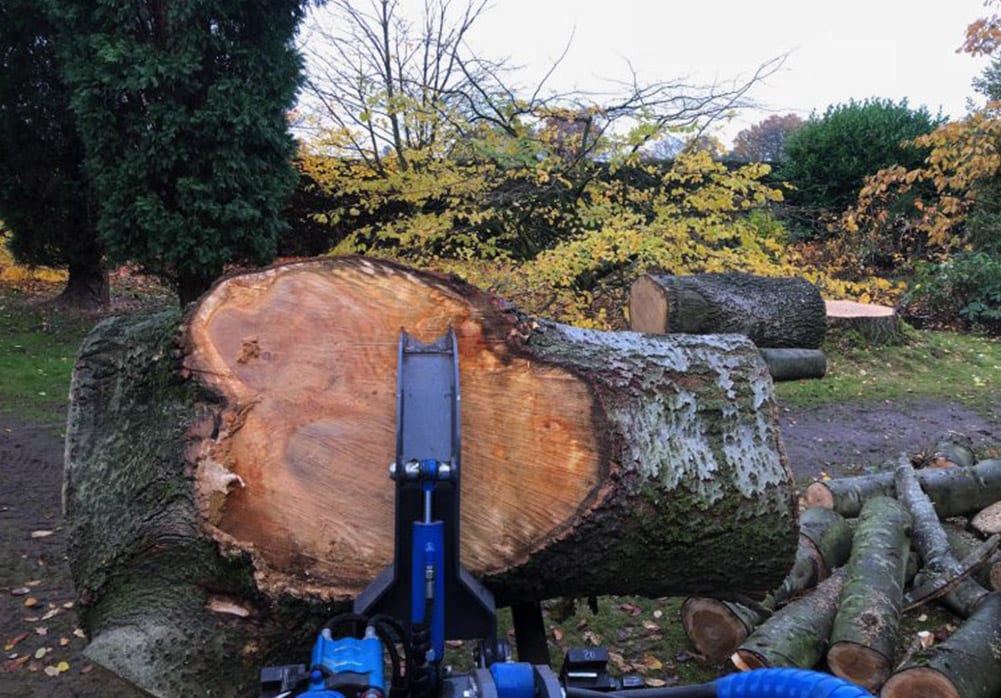 Timber removal service with machine