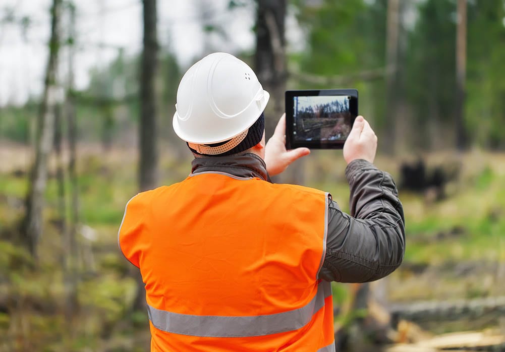 Wainwright Stump Removal work for the public sector including Salford Wigan Bolton Warrington